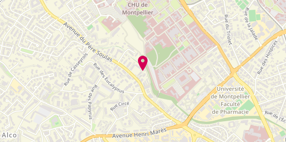 Plan de Batiben, 1358 Avenue du Pere Soulas, 34090 Montpellier