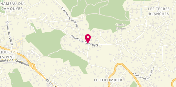 Plan de VELLA Armand, 1150 Chemin Camouyer, 06330 Roquefort-les-Pins