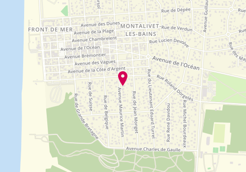 Plan de Jérôme Gueguen, 3 avenue Maurice Martin, 33930 Vendays-Montalivet