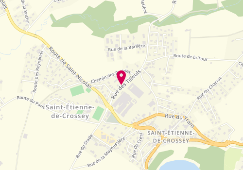 Plan de Pellegrini, 174 Rue des Tilleuls, 38960 Saint-Étienne-de-Crossey