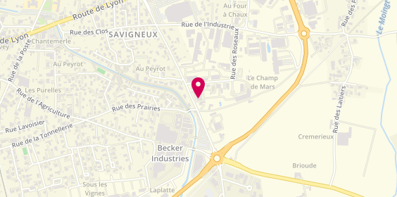 Plan de Entreprise Brunel SAS, 31 Rue du Champ de Mars, 42600 Savigneux