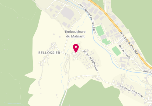 Plan de Pochat Cotilloux Philippe, Tronchine 9 Route Bellossier, 74230 Thônes