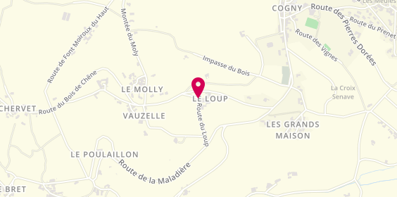 Plan de Just Frères, 206 Route Loup, 69640 Cogny