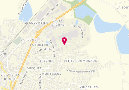 Plan de Guillermin Michel, Zone Aménagement la Tuilerie
903 Rue Pierre Poivre, 01330 Villars-les-Dombes