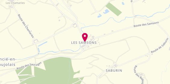 Plan de Entrep Maconnerie Geoffray et Fils, 792 Les Samsons, 69430 Quincié-en-Beaujolais