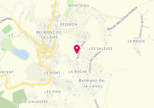 Plan de Entreprise Lapierre, Route de Doris, 42670 Belmont-de-la-Loire