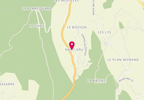 Plan de Delavay Philippe, 5344 Route Grandes Alpes, 74260 Les Gets
