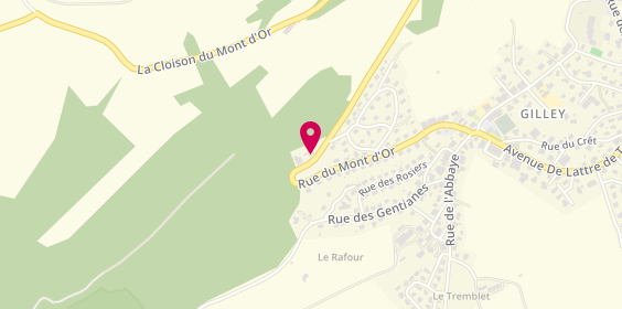 Plan de Société Nouvelle Mourot et Fils, 33 Rue du Mont d'Or, 25650 Gilley