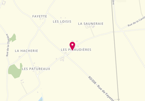 Plan de Esteves Dal Multiservices, Les Piraudières, 37800 Noyant-de-Touraine