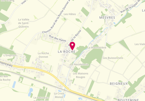 Plan de Goulay Patrice, 47 Rue de la Roche, 37150 La Croix-en-Touraine