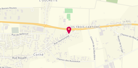 Plan de Bernard et Cizeron, 35 Bis Rue Saumuroise, 49630 Loire-Authion
