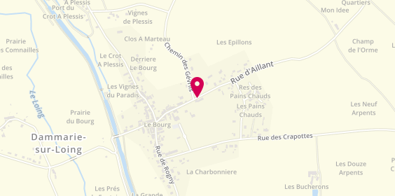 Plan de Boisgibault, 22 Rue d' Aillant, 45230 Dammarie-sur-Loing