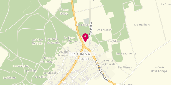 Plan de Chatelin Jean-François, Les
Route de Dourdan
l'Orme à Vidy, 91410 Les Granges-Le-Roi, France
