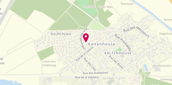 Plan de PALUMBO Michel, 1 Rue Hirondelles, 67240 Kaltenhouse